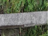 image of grave number 451888